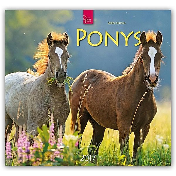 Ponys 2017