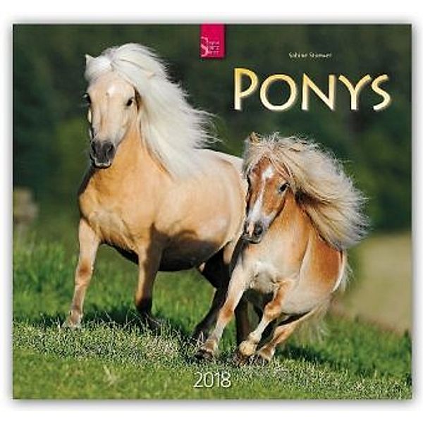 Ponys 2018