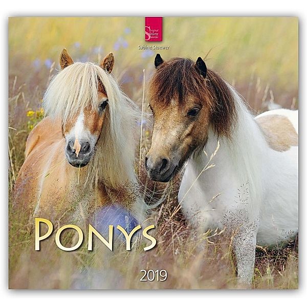 Ponys 2019