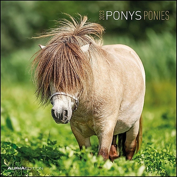 Ponys 2023 - Broschürenkalender 30x30 cm (30x60 geöffnet) - Kalender mit Platz für Notizen - Ponies - Bildkalender - Wan
