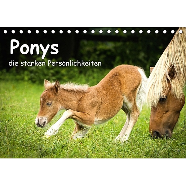 Ponys, die starken Persönlichkeiten (Tischkalender 2018 DIN A5 quer), Berit Seiboth