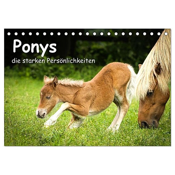 Ponys, die starken Persönlichkeiten (Tischkalender 2024 DIN A5 quer), CALVENDO Monatskalender, Berit Seiboth