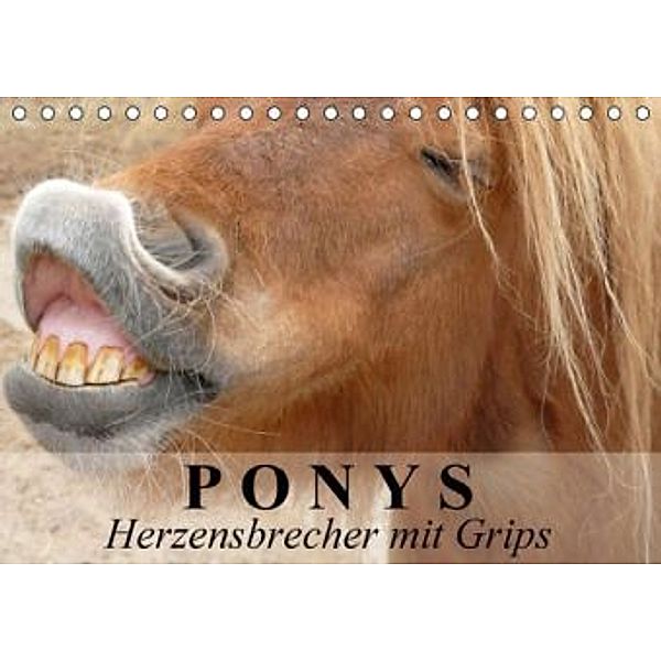 Ponys - Herzensbrecher mit Grips (Tischkalender 2015 DIN A5 quer), Elisabeth Stanzer