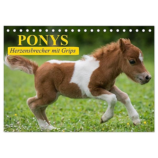 Ponys. Herzensbrecher mit Grips (Tischkalender 2024 DIN A5 quer), CALVENDO Monatskalender, Elisabeth Stanzer