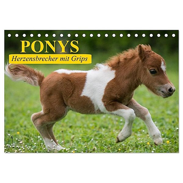 Ponys. Herzensbrecher mit Grips (Tischkalender 2025 DIN A5 quer), CALVENDO Monatskalender, Calvendo, Elisabeth Stanzer