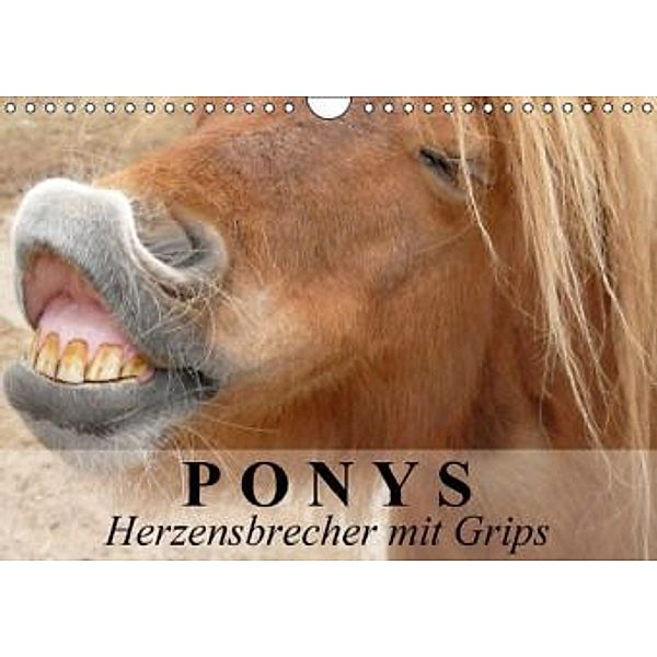 Ponys - Herzensbrecher mit Grips (Wandkalender 2015 DIN A4 quer), Elisabeth Stanzer