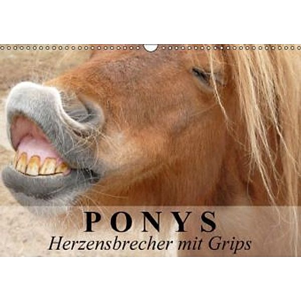Ponys - Herzensbrecher mit Grips (Wandkalender 2015 DIN A3 quer), Elisabeth Stanzer