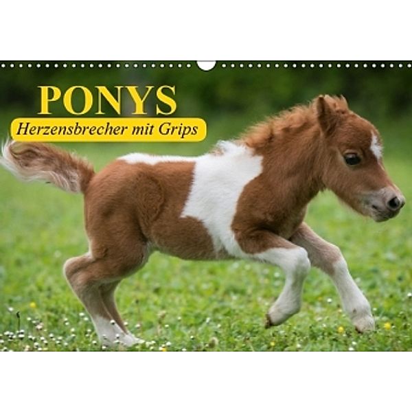 Ponys - Herzensbrecher mit Grips (Wandkalender 2016 DIN A3 quer), Elisabeth Stanzer