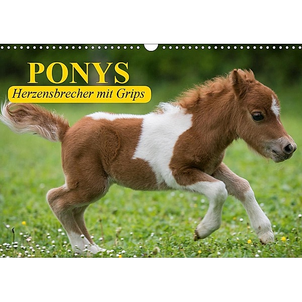 Ponys. Herzensbrecher mit Grips (Wandkalender 2021 DIN A3 quer), Elisabeth Stanzer