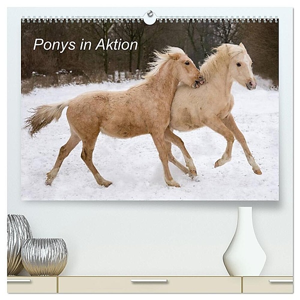 Ponys in Aktion (hochwertiger Premium Wandkalender 2024 DIN A2 quer), Kunstdruck in Hochglanz, Günter Hahn