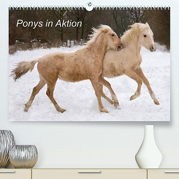 Ponys in Aktion (Premium, hochwertiger DIN A2 Wandkalender 2023, Kunstdruck in Hochglanz), Günter Hahn