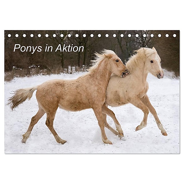 Ponys in Aktion (Tischkalender 2024 DIN A5 quer), CALVENDO Monatskalender, Günter Hahn