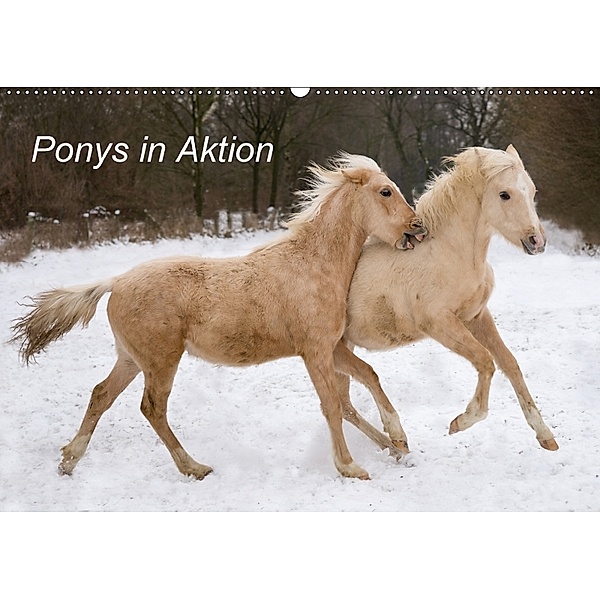 Ponys in Aktion (Wandkalender 2018 DIN A2 quer), Günter Hahn