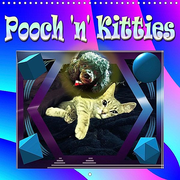 Pooch 'n' Kitties (Wall Calendar 2021 300 × 300 mm Square), Tito Abeleda