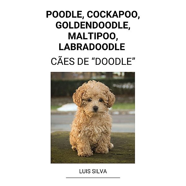 Poodle, Cockapoo, Goldendoodle, Maltipoo, Labradoodle  (Cães de Doodle), Luis Silva