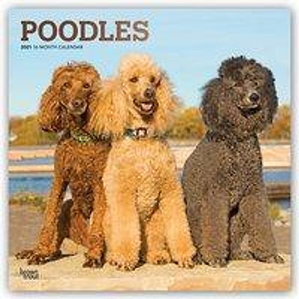 Poodles - Pudel 2021 - 16-Monatskalender mit freier DogDays-App, BrownTrout Publisher