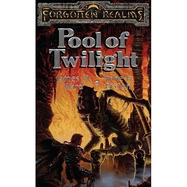 Pool of Twilight / The Heroes of Phlan Bd.3, James M. Ward, Anne K. Brown