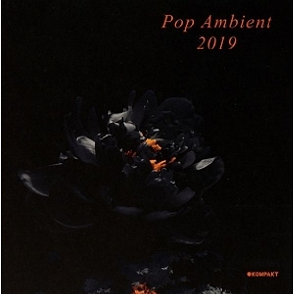 Pop Ambient 2019, Diverse Interpreten