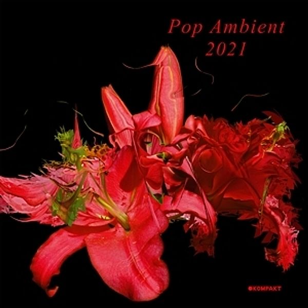 Pop Ambient 2021 (Lp+Mp3) (Vinyl), Diverse Interpreten