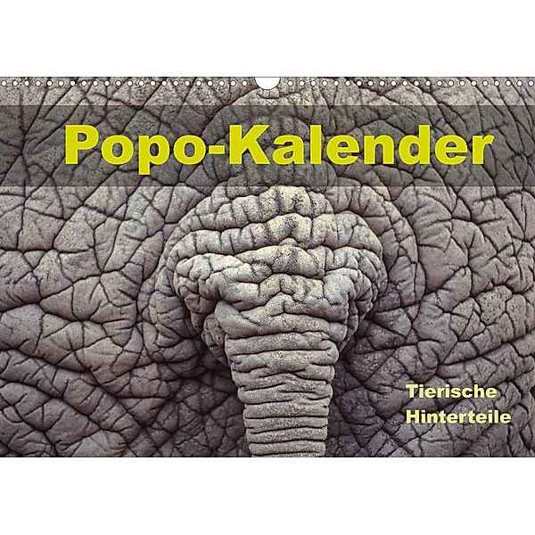 Popo-Kalender (Wandkalender 2022 DIN A3 quer), Carola Vahldiek