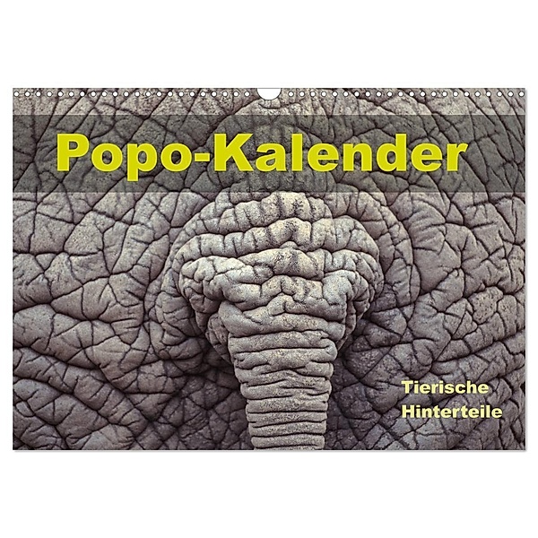 Popo-Kalender (Wandkalender 2024 DIN A3 quer), CALVENDO Monatskalender, Carola Vahldiek