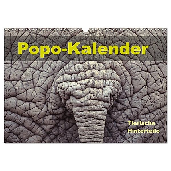 Popo-Kalender (Wandkalender 2025 DIN A3 quer), CALVENDO Monatskalender, Calvendo, Carola Vahldiek