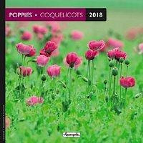 Poppies 2018, Aquarupella