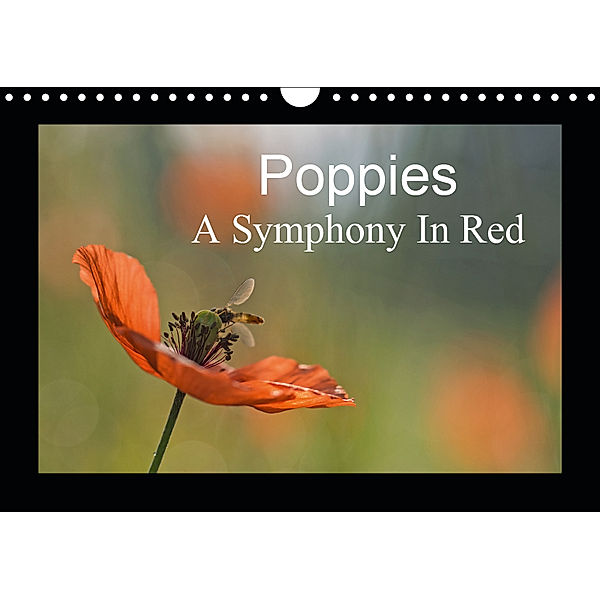Poppies A Symphony In Red (Wall Calendar 2019 DIN A4 Landscape), Andrea Potratz