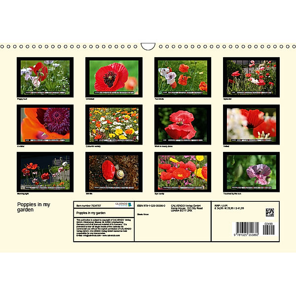 Poppies in my garden (Wall Calendar 2019 DIN A3 Landscape), Gisela Kruse
