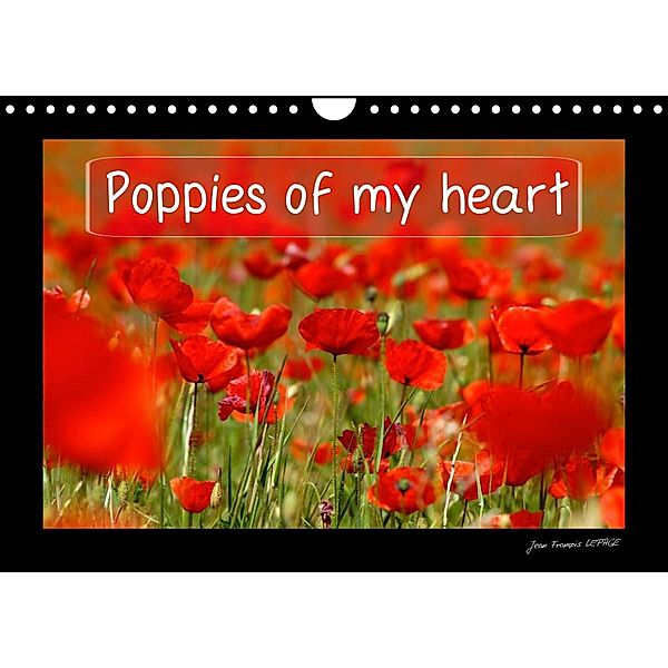 Poppies of my heart (Wall Calendar 2023 DIN A4 Landscape), Jean François LEPAGE