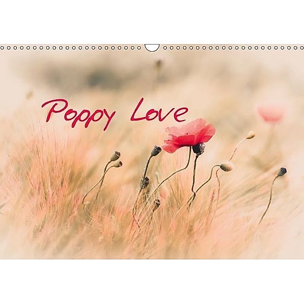 Poppy Love (Wall Calendar 2017 DIN A3 Landscape), Annette Hanl