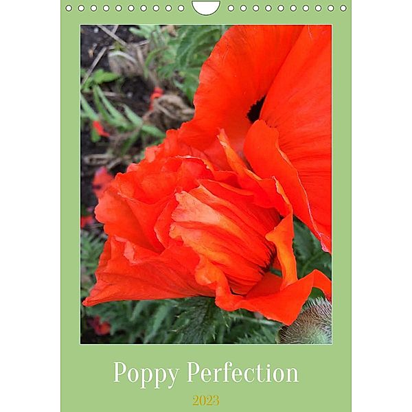 Poppy Perfection (Wall Calendar 2023 DIN A4 Portrait), Barbara L. Storey