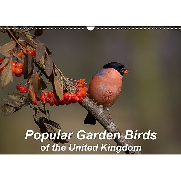 Popular garden birds of the united kingdom (Wall Calendar 2018 DIN A3 Landscape), Alan Tunnicliffe
