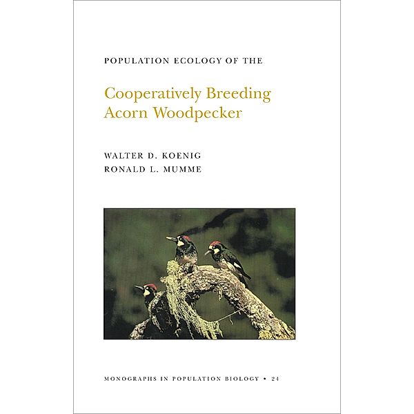 Population Ecology of the Cooperatively Breeding Acorn Woodpecker. (MPB-24), Volume 24 / Monographs in Population Biology Bd.24, Walter D. Koenig, Ronald L. Mumme