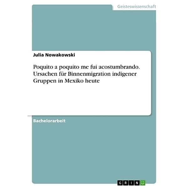 Poquito a poquito me fui acostumbrando. Ursachen für Binnenmigration indigener Gruppen in Mexiko heute, Julia Nowakowski