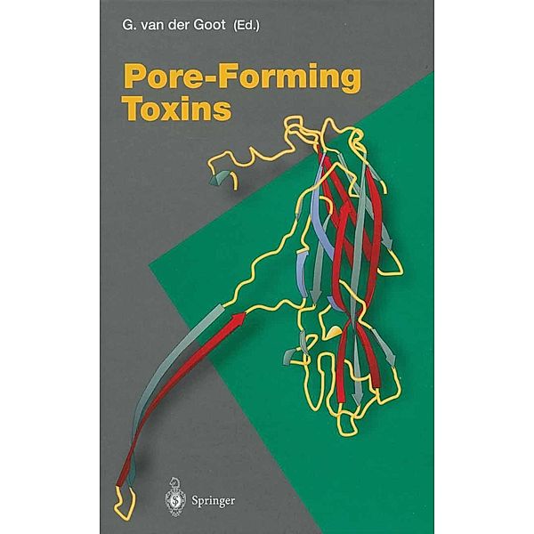 Pore-Forming Toxins / Current Topics in Microbiology and Immunology Bd.257