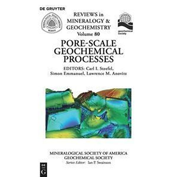 Pore Scale Geochemical Processes