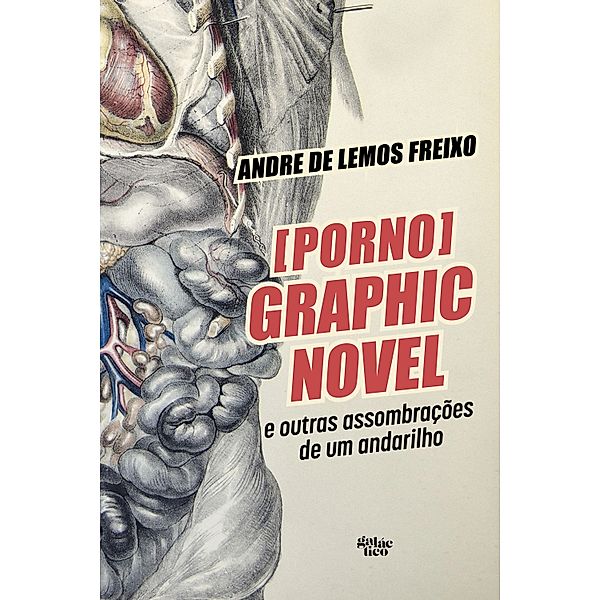 [Porno] Graphic Novel e outras assombrações de um andarilho, Andre de Lemos Freixo