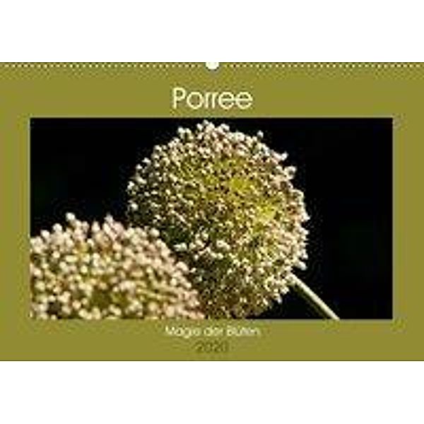 Porree - Magie der Blüten (Wandkalender 2020 DIN A2 quer), Meike Bölts