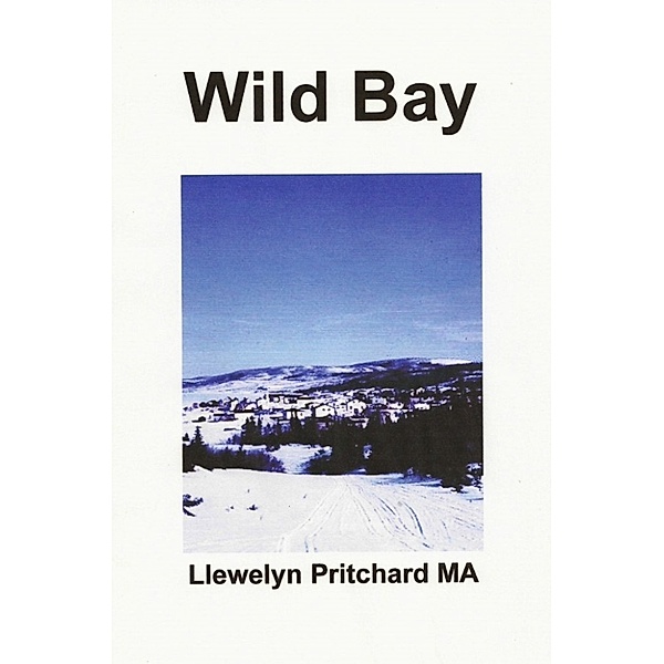 Port Hope Simpson Mysteries: Wild Bay, Llewelyn Pritchard