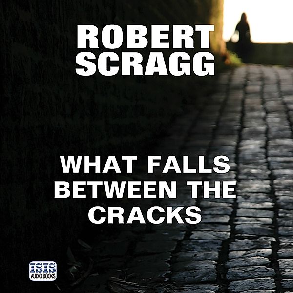 Porter and Styles - 1 - What Falls Between the Cracks, Robert Scragg