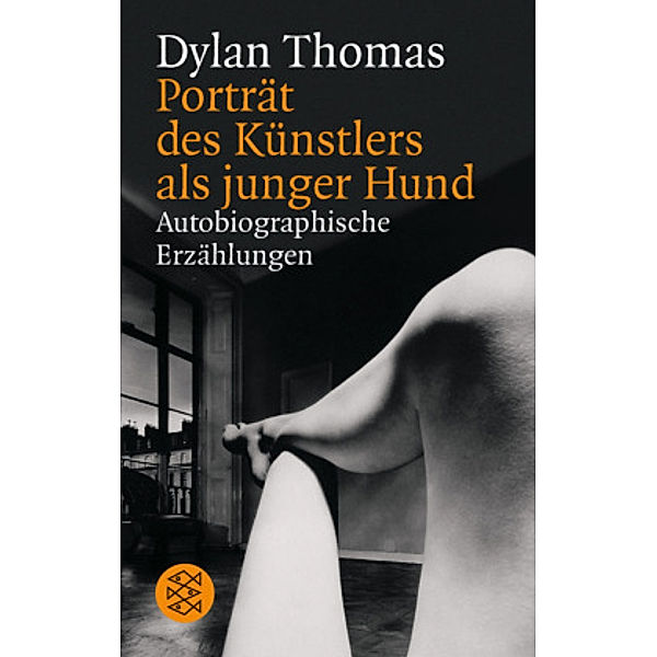 Porträt des Künstlers als junger Hund, Dylan Thomas