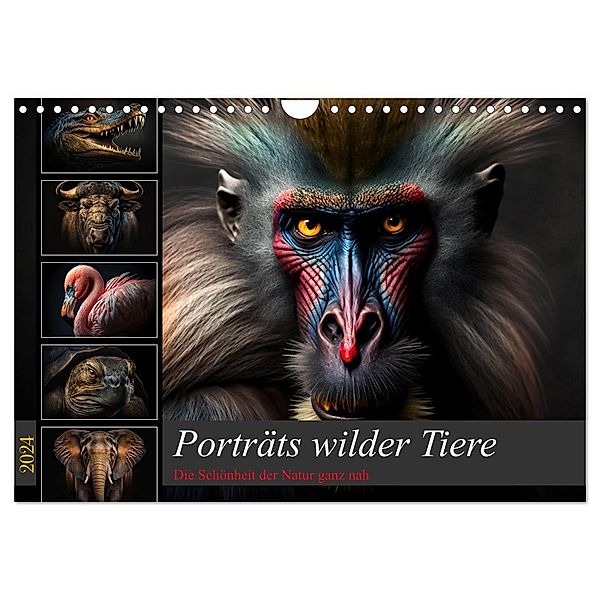 Porträts wilder Tiere (Wandkalender 2024 DIN A4 quer), CALVENDO Monatskalender, Dirk Meutzner