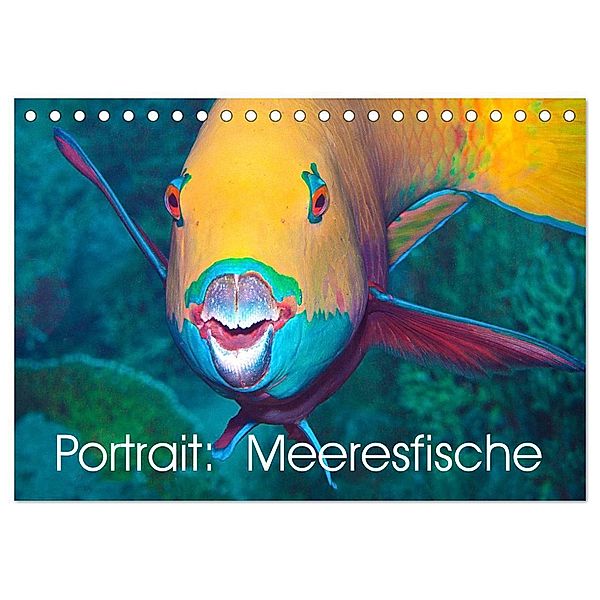 Portrait: Meeresfische (Tischkalender 2024 DIN A5 quer), CALVENDO Monatskalender, Ute Niemann