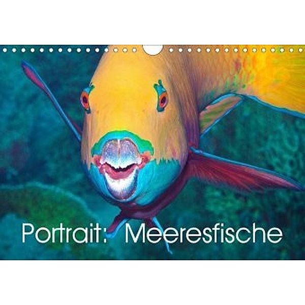 Portrait: Meeresfische (Wandkalender 2020 DIN A4 quer), Ute Niemann