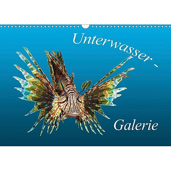 Portrait: Meeresfische (Wandkalender 2022 DIN A3 quer), Ute Niemann