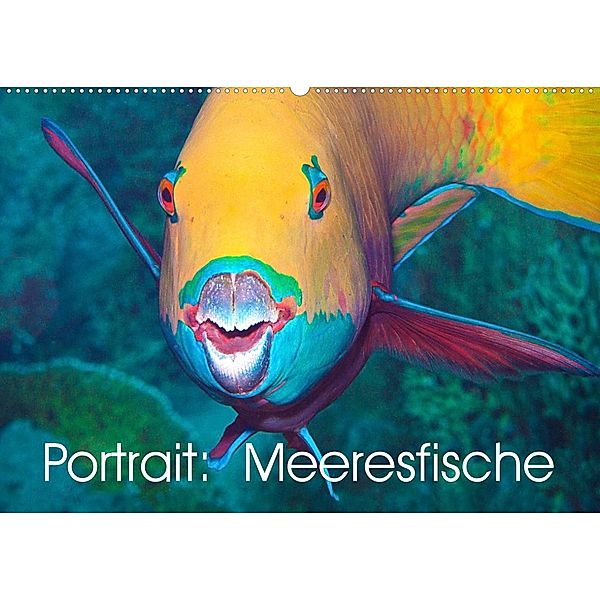 Portrait: Meeresfische (Wandkalender 2023 DIN A2 quer), Ute Niemann