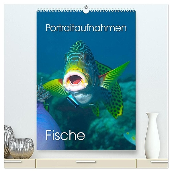 Portraitaufnahmen - Fische (hochwertiger Premium Wandkalender 2024 DIN A2 hoch), Kunstdruck in Hochglanz, Ute Niemann