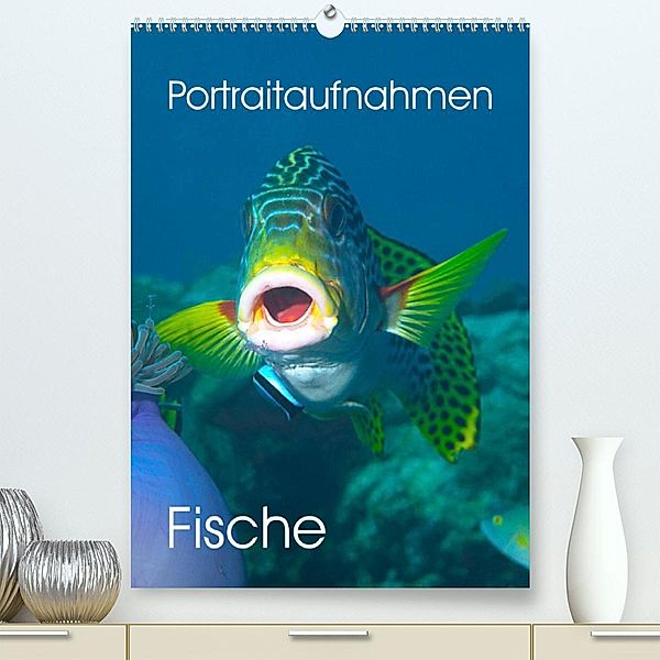 Portraitaufnahmen - Fische (Premium, hochwertiger DIN A2 Wandkalender 2023, Kunstdruck in Hochglanz), Ute Niemann