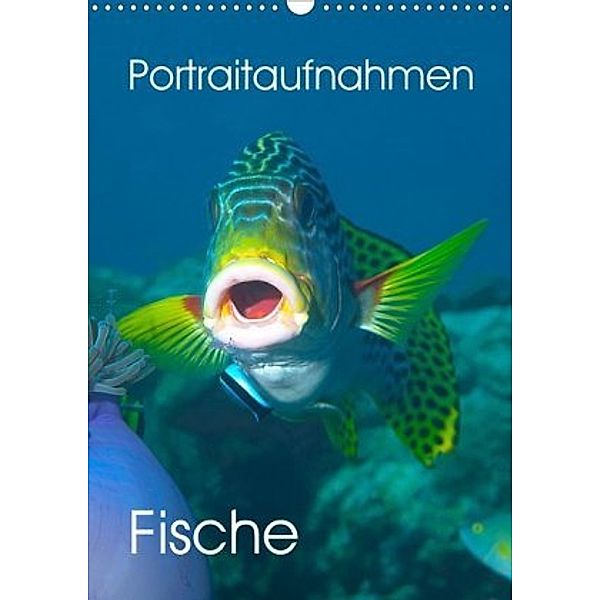 Portraitaufnahmen - Fische (Wandkalender 2020 DIN A3 hoch), Ute Niemann